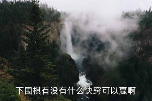 圍棋技巧，圍棋的技巧