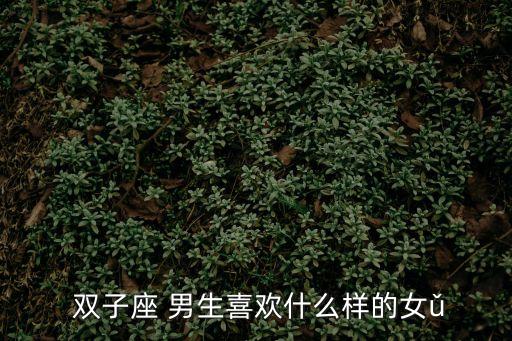  雙子座 男生喜歡什么樣的女ǔ