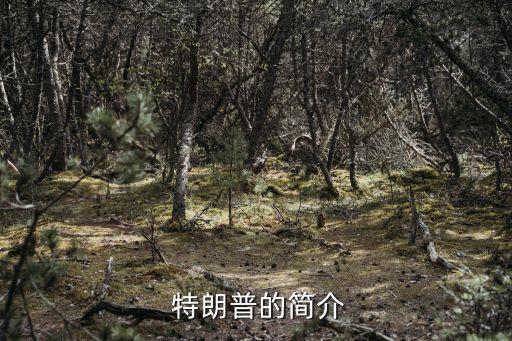 特朗普是哪個(gè)黨,特朗普是美國(guó)媒體熱衷人物曾與妻子逛街