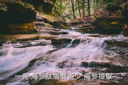 海參肽,海參肽騙局從何而來(lái)?
