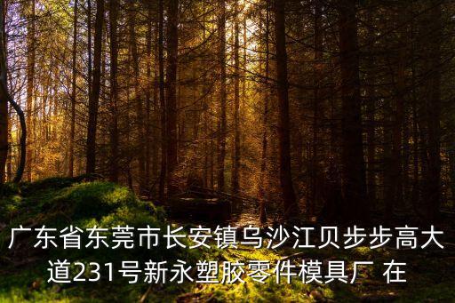 廣東省東莞市長安鎮烏沙江貝步步高大道231號新永塑膠零件模具廠 在