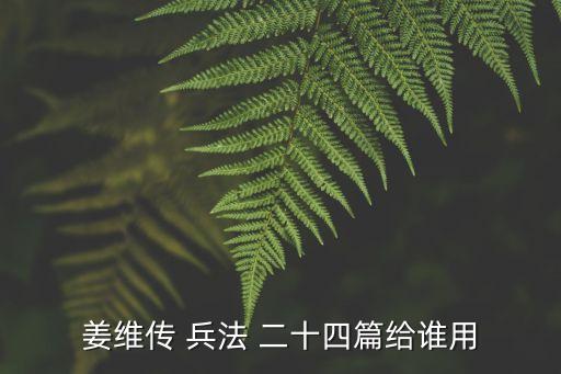 姜維傳 兵法 二十四篇給誰用