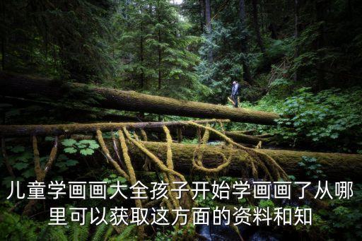 兒童學畫畫大全，大連小孩子學畫畫去哪比較好啊有沒有好心的家長告知一下適合4