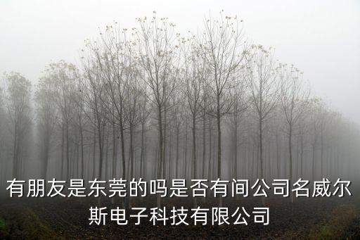 東莞水之歡科技，有朋友是東莞的嗎是否有間公司名威爾斯電子科技有限公司