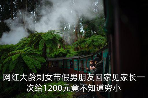 網(wǎng)紅大齡剩女帶假男朋友回家見家長一次給1200元竟不知道窮小