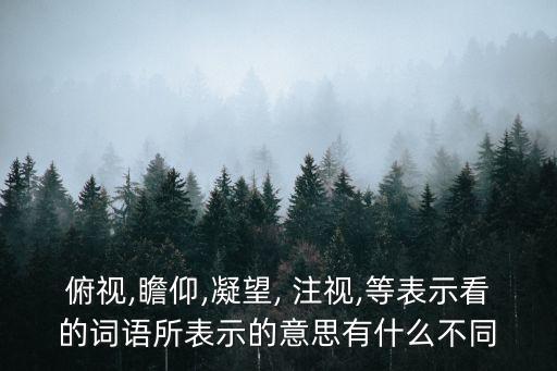 注視的意思,第三集:關(guān)注和凝視反義詞