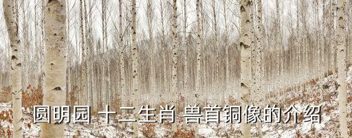 圓明園 十二生肖 獸首銅像的介紹
