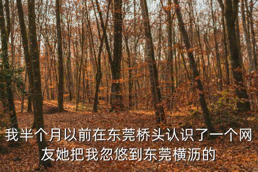 我半個(gè)月以前在東莞橋頭認(rèn)識(shí)了一個(gè)網(wǎng)友她把我忽悠到東莞橫瀝的