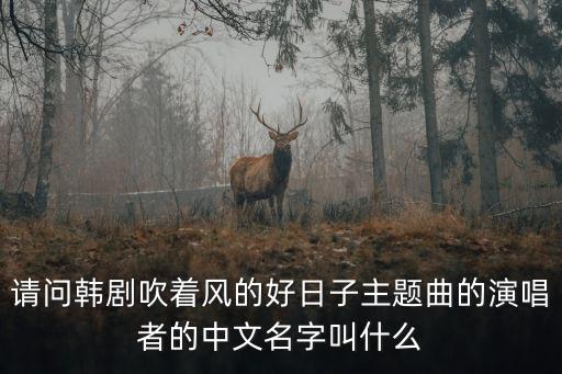 請問韓劇吹著風(fēng)的好日子主題曲的演唱者的中文名字叫什么