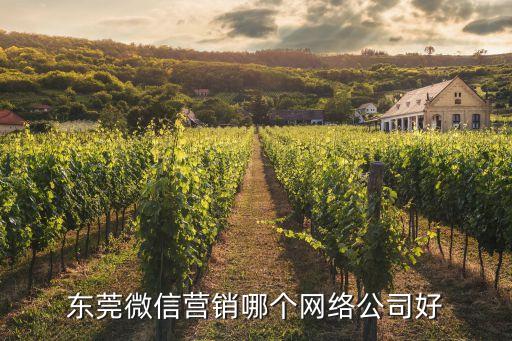 東莞微信營銷哪個網絡公司好