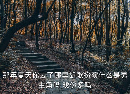 那年夏天你去了哪里胡歌扮演什么是男主角嗎 戲份多嗎