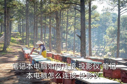 筆記本投影,投影米顯示四大不同特色