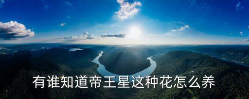 南非帝王花，南非帝王花酒莊歷史介紹