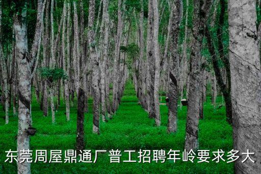 東莞石碣周屋群達電子有限公司，東莞周屋龍昌玩具廠還存在嗎