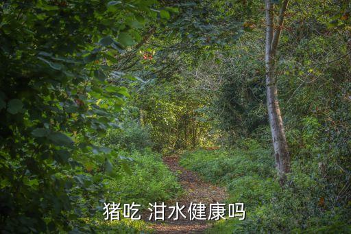 豬吃 泔水健康嗎
