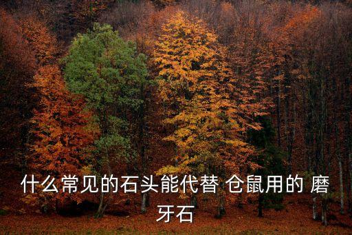 自制倉(cāng)鼠磨牙棒,籠鼠咬食物順便磨牙!
