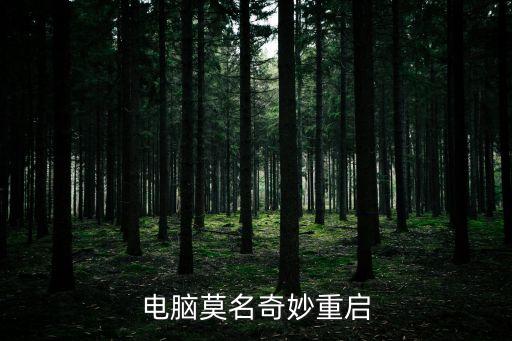 電腦莫名奇妙重啟
