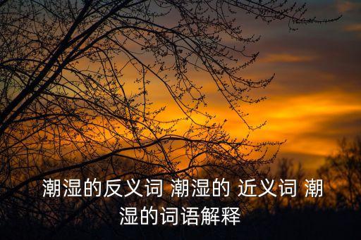  潮濕的反義詞 潮濕的 近義詞 潮濕的詞語解釋
