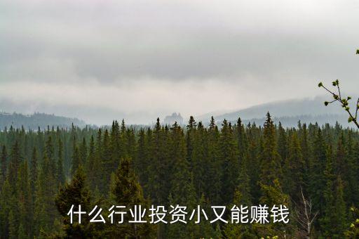 什么行業(yè)投資小又能賺錢