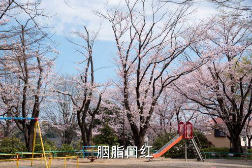 胭脂口紅，胭脂口紅