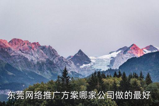 東莞網(wǎng)站推廣微辛hfqjwl下拉，東莞網(wǎng)絡(luò)推廣方案哪家公司做的最好