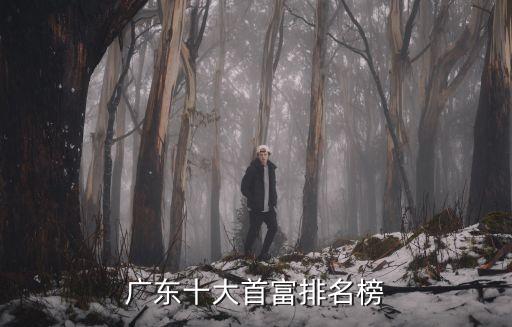 財富排行榜2019東莞，我想知道東莞哪個鎮(zhèn)最富及排名
