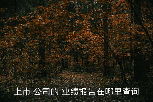 公司業績,公司業績是利好分紅增加本期公司股票市價會相應上漲