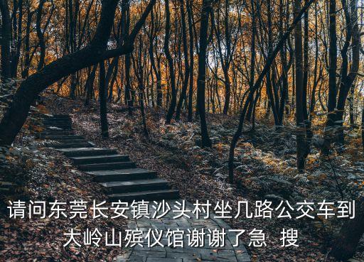 請問東莞長安鎮沙頭村坐幾路公交車到大嶺山殯儀館謝謝了急  搜