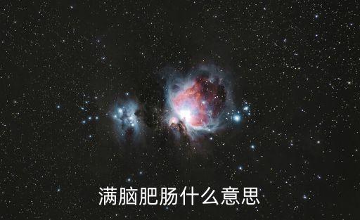 滿腦肥腸什么意思