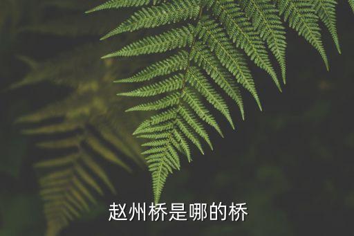 趙州橋資料,趙州橋為什么屹立千年而不倒?