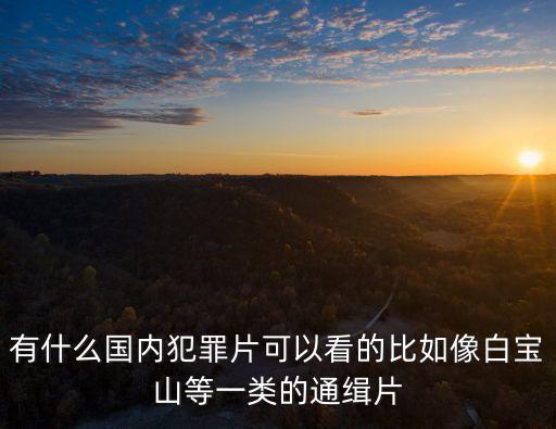 紀實大案真實案例，中央臺的大案紀實