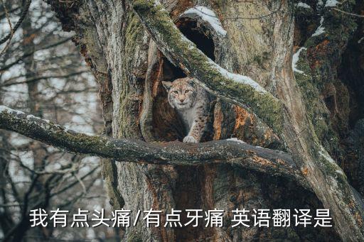 有點英語,意在中文里有很多意思需看上下文