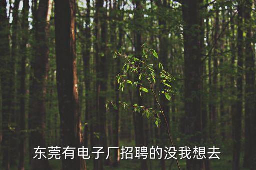 東莞有電子廠招聘的沒我想去
