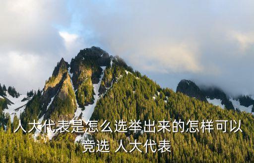 人大代表選舉法,中國(guó):縣鄉(xiāng)兩級(jí)人大代表由選區(qū)選民直接選舉