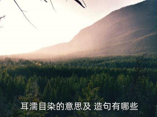 耳濡目染造句,從小耳濡目染對中路梆子產生興趣