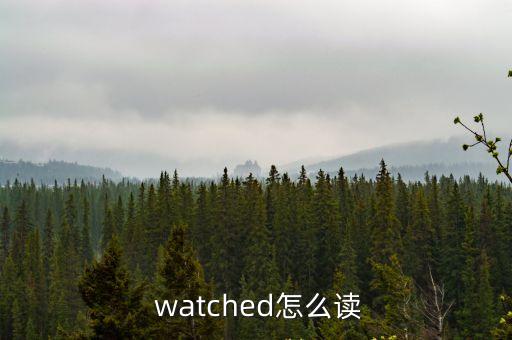 watch怎么讀,警察用watch引申為照顧、守衛、保衛