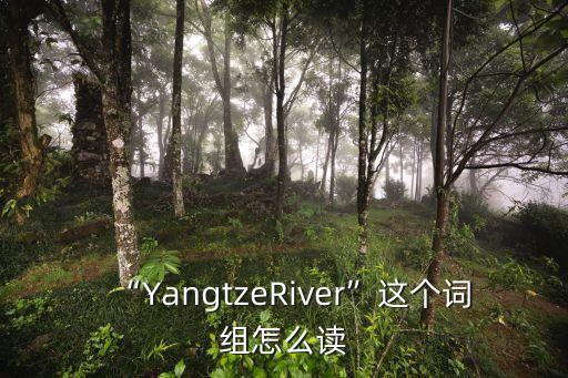 river怎么讀,中國武漢出現一起疑似病例全是境外輸入
