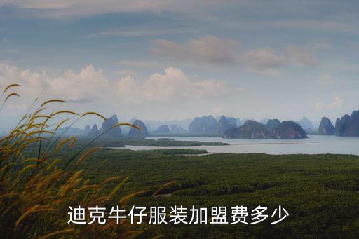 迪克牛仔加盟，迪克牛仔加盟