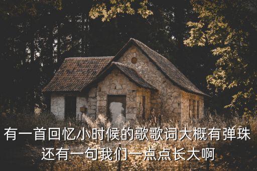 有一首回憶小時(shí)候的歌歌詞大概有彈珠還有一句我們一點(diǎn)點(diǎn)長大啊