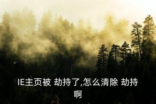 IE主頁被 劫持了,怎么清除 劫持啊