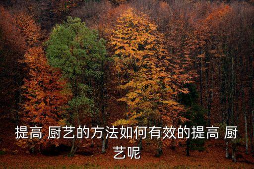 提高 廚藝的方法如何有效的提高 廚藝呢