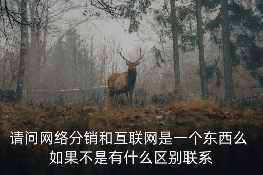 請問網絡分銷和互聯網是一個東西么 如果不是有什么區別聯系