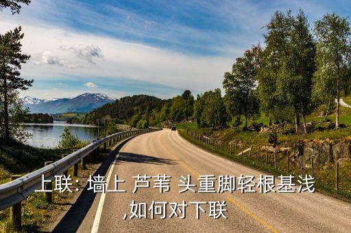 墻上蘆葦頭重腳輕根底淺
