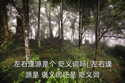  左右逢源是個 貶義詞嗎( 左右逢源是 褒義詞還是 貶義詞