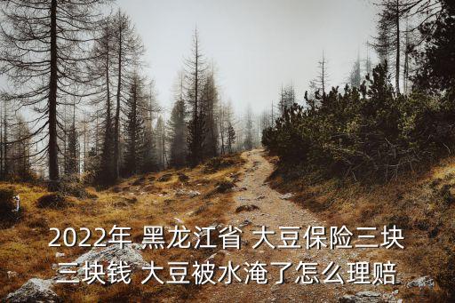 2022年 黑龍江省 大豆保險三塊三塊錢 大豆被水淹了怎么理賠