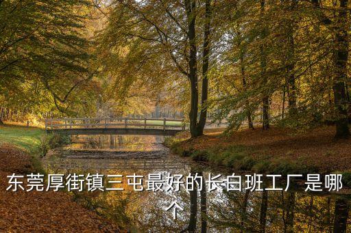 廣東東莞厚街平南商會，東莞綠思天倫家具廠地址