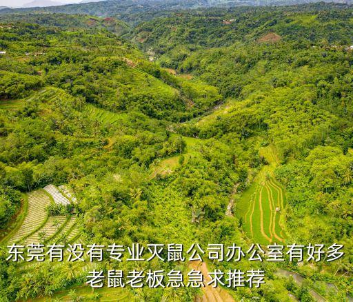 東莞滅鼠滅蟲，東莞有沒有專業(yè)滅鼠公司辦公室有好多老鼠老板急急求推薦