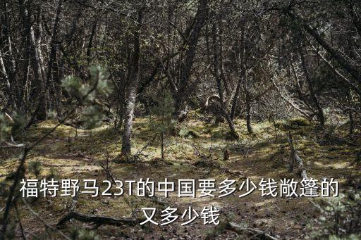 東莞野馬敞篷4s店地址，哪有賣野馬汽車的