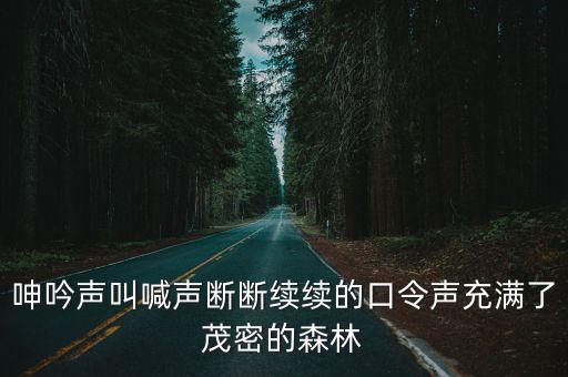 呻吟聲叫喊聲斷斷續(xù)續(xù)的口令聲充滿了茂密的森林