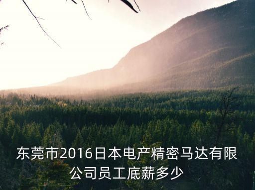 東莞市2016日本電產精密馬達有限公司員工底薪多少